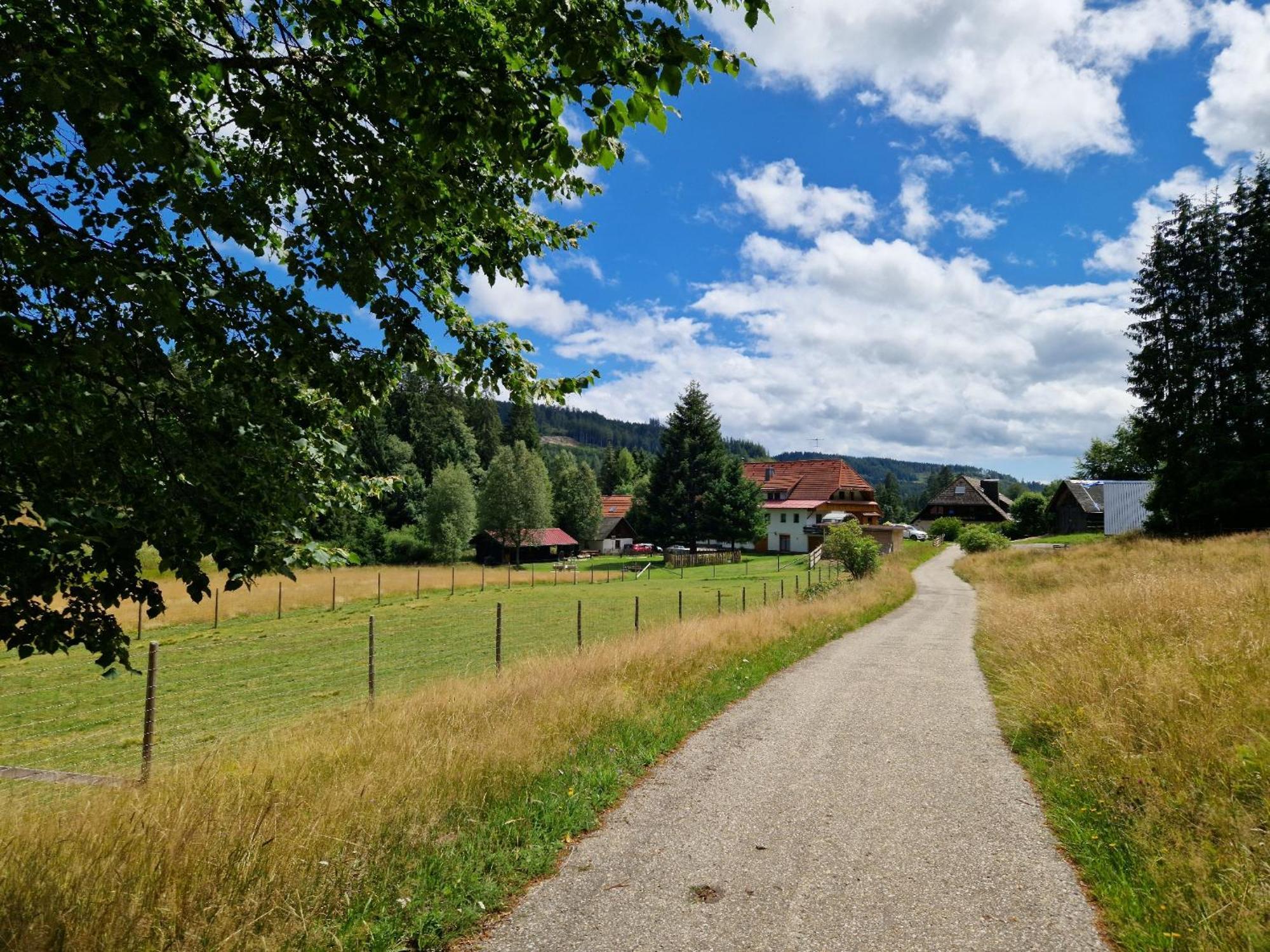 Altes Zollhuesli Vila Schluchsee Exterior foto