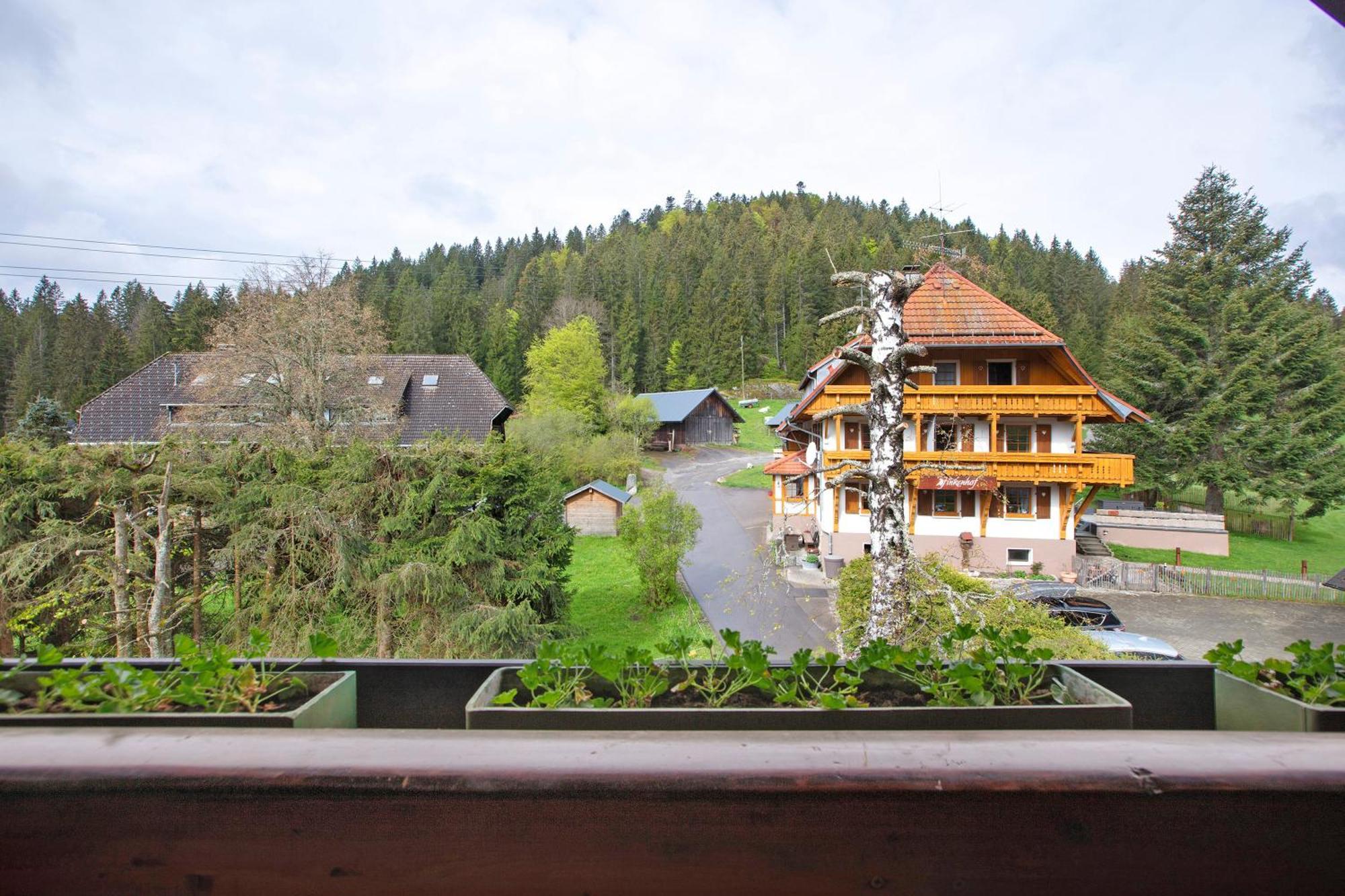 Altes Zollhuesli Vila Schluchsee Exterior foto